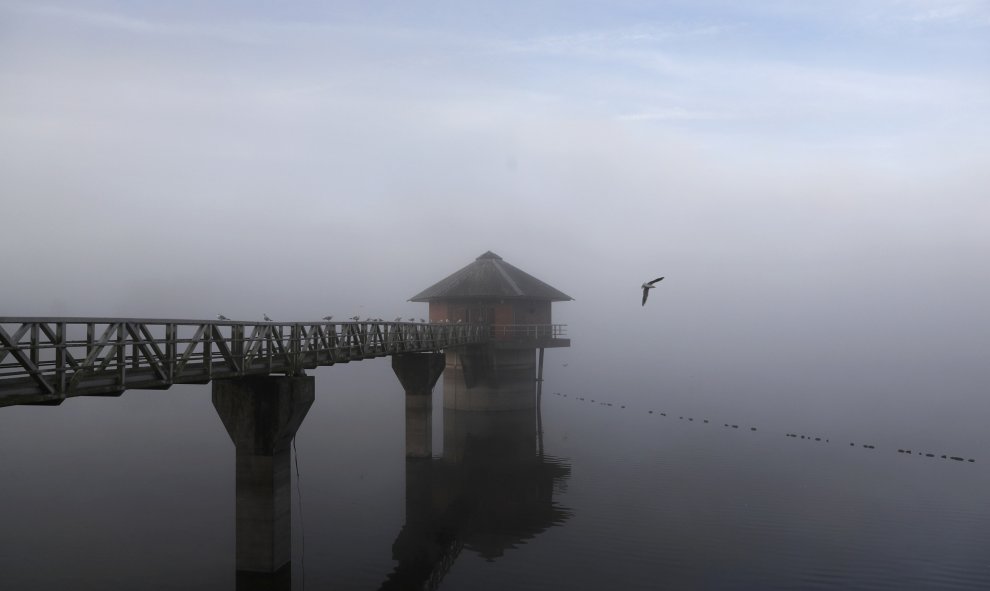 La niebla de la mañana se asienta sobre el embalse Cropston en Gran Bretaña. REUTERS/Darren Staples