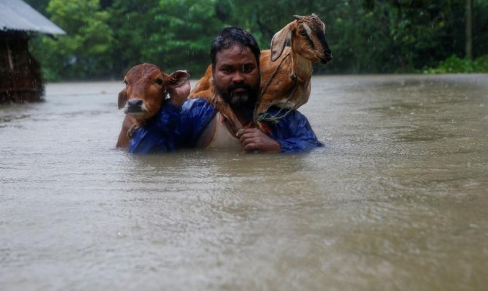 Un hombre lleva en sus hombros a una vaca y una cabra en medio de las inundaciones en la aldea de Topa, en el distrito de Saptari, Nepal. EFE/EPA/NARENDRA SHRESTHA