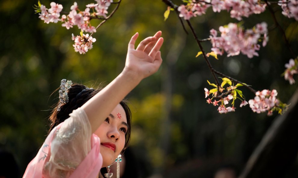 Una niña vestida con un traje tradicional posa para los entusiastas de la fotografía junto a un árbol de cerezos en flor.- EISELE / AFP