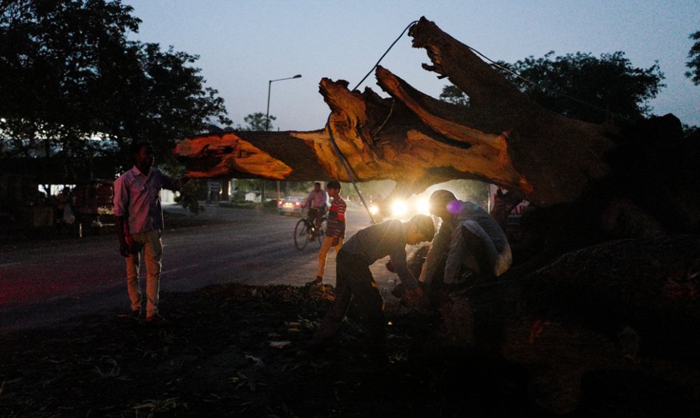 Un hombre corta un árbol que cayó en una carretera durante una tormenta en Agra. CHANDAN KHANNA / AFP