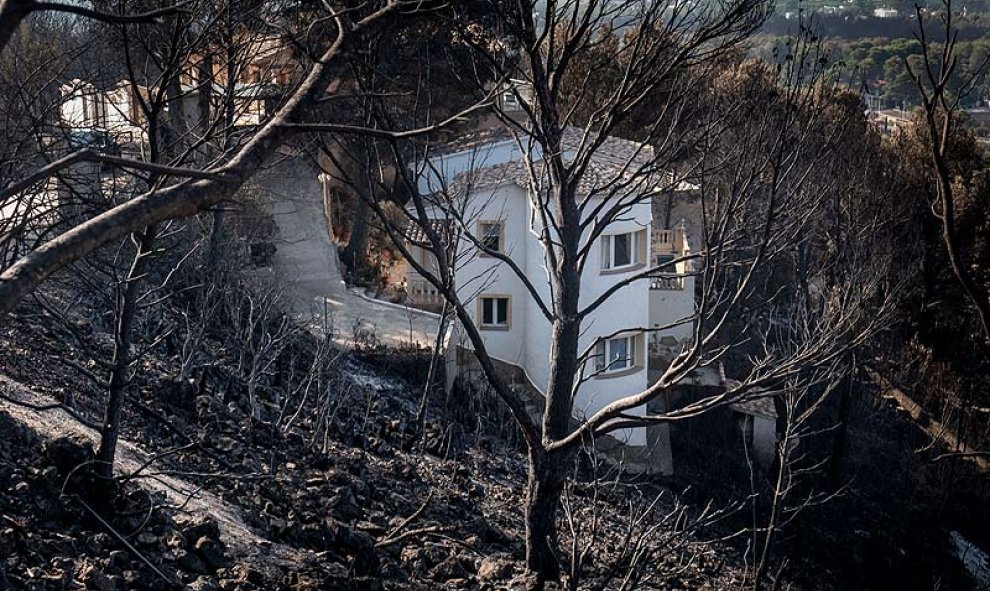 Urbanizaciones Montepino y Montesol afectadas por el incendio forestal de Llutxent, en Gandía. Greenpeace/Pedro Armestre