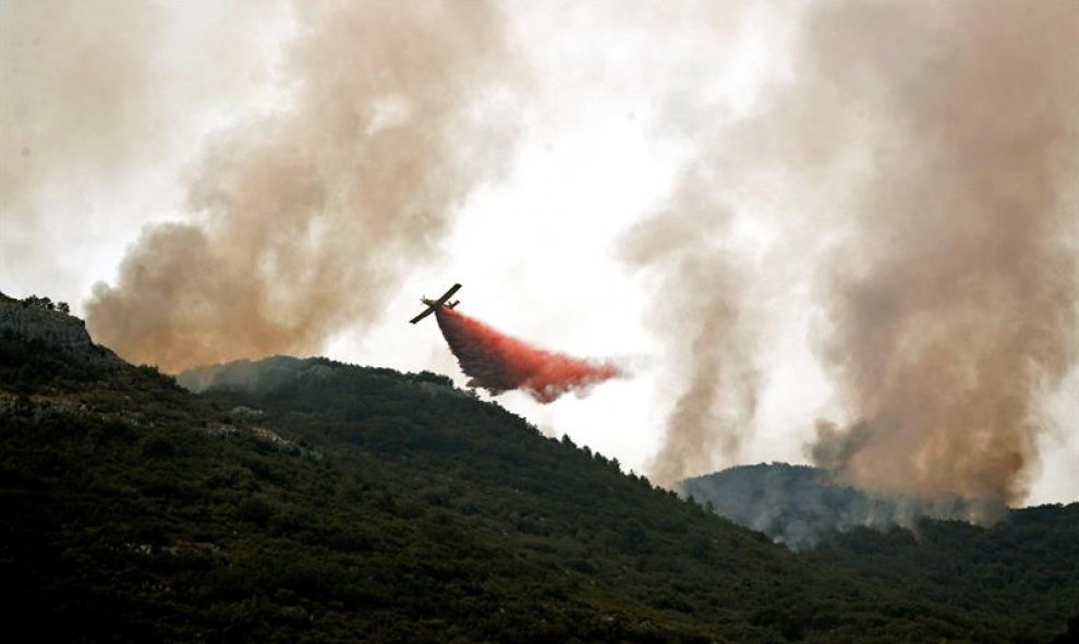 En España, este año, las condiciones climatológicas (con un mes de julio relativamente suave) han ayudado para esquivar, al menos de momento, el efecto destructor de los grandes incendios forestales en la Península Ibérica. Aun así, algunos fuegos en la c