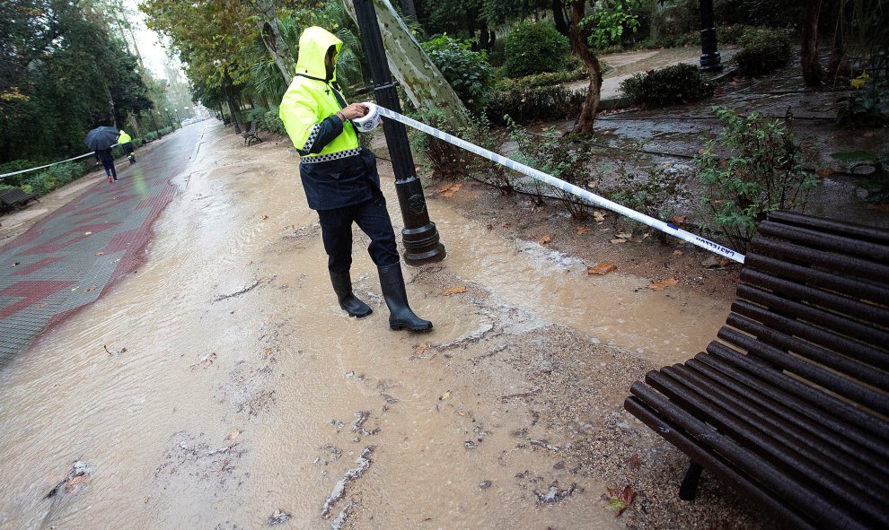 La lluvia que caía a primera hora de la tarde de ayer jueves obligaba a la Policía local a cerrar los accesos al parque - EFE/Domenech Castelló
