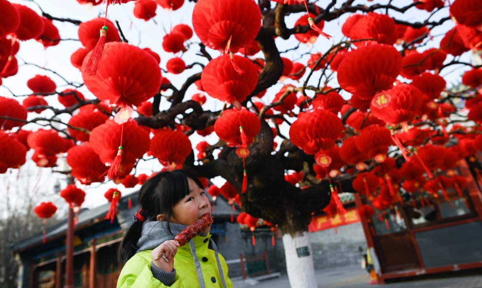 Una niña come un caramelo mientras está de pie junto a un árbol decorado con linternas rojas antes del Año Nuevo Lunar Chino en las afueras de un parque en Pekín | AFP/ Wang Zao