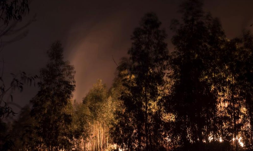 SAN ROMÁN (CANTABRIA), 04/03/2019.- Incendio forestal cerca de la localidad cántabra de San Román. El Gobierno de Cantabria ha activado el Plan Especial de Incendios Forestales (Infocant), en su nivel 1, debido a los 50 incendios forestales que están acti
