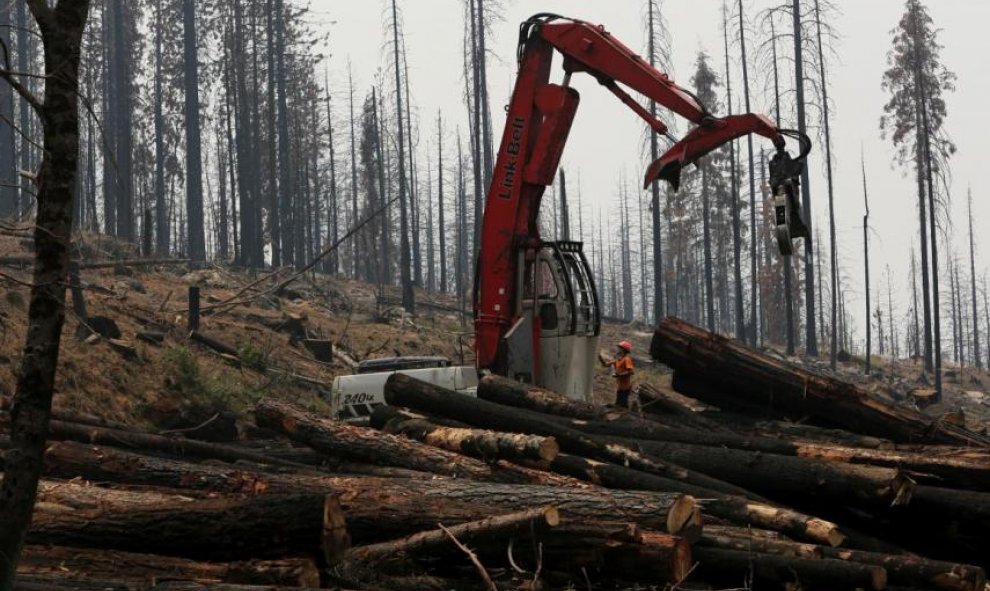 Una explotación forestal cerca de Groveland, California./ Reuters
