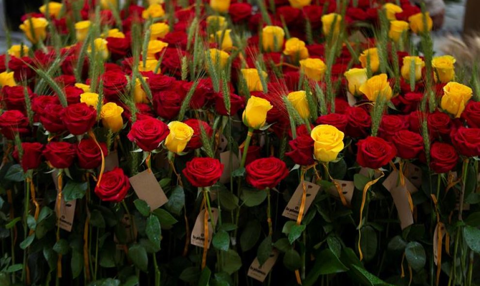 Sant Jordi 2019. EFE/Enric Fontcuberta