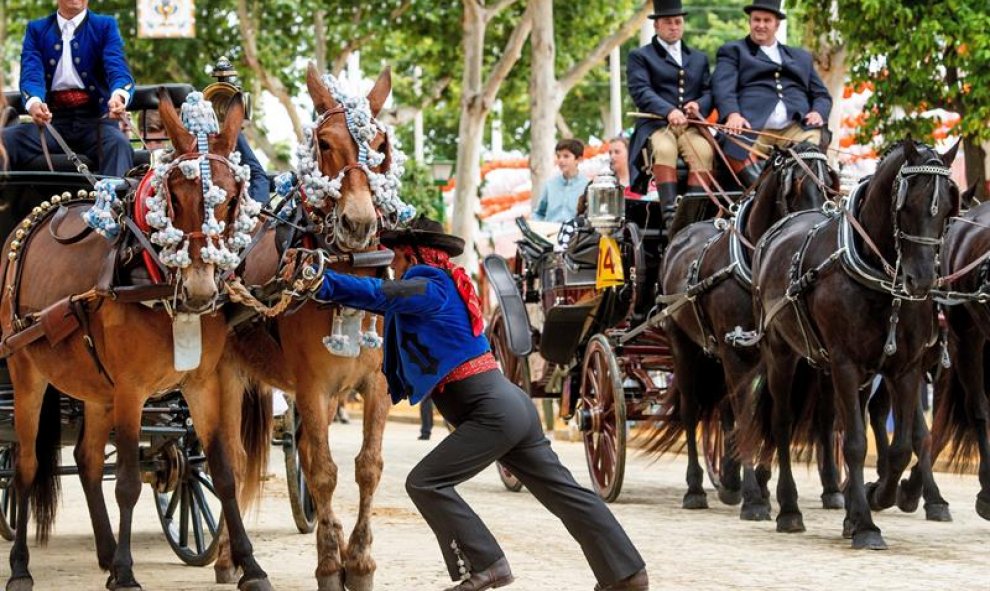 Un cochero se ocupa de sus caballos en el Real de la Feria en el primer día de la Feria de Abril. EFE/ Raúl Caro