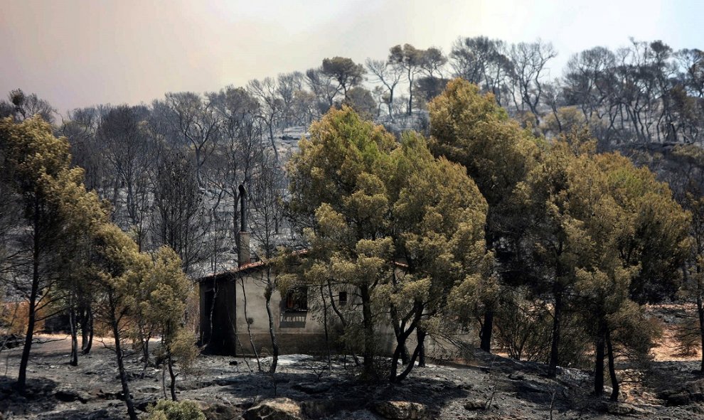 27/06/2019 - La Generalitat ha pedido a la ciudadanía que evite situaciones de riesgo que puedan generar otro incendio forestal, lo que obligaría a dividir el dispositivo de extinción establecido en la Ribera d'Ebre. / EFE - Jaume Sellart