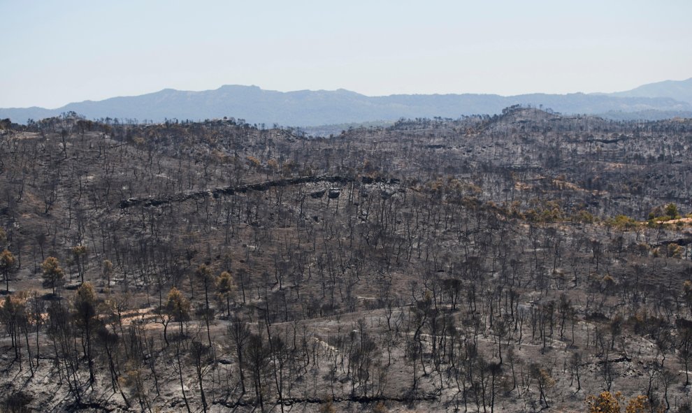 Vista del terreno calcinado este sábado tras el paso del incendio forestal de Tarragona que ha afectado a la comarca de la Ribera d'Ebre desde el miércoles.  / EFE