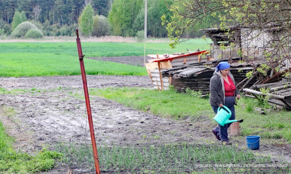 Una mujer cultivando patatas a unos cientos de metros de la zona de exclusión. / FERRAN BARBER
