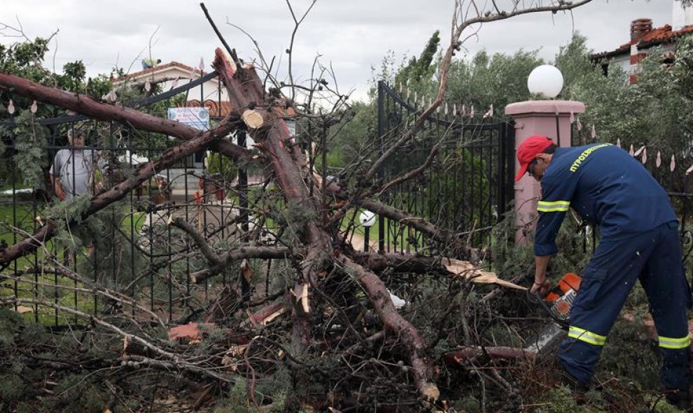 Un bombero corta un árbol que se ha caído por el viento en Sozopolis, Chalkidiki, en el norte de Grecia. EFE/EPA/VERVERIDIS VASSILIS