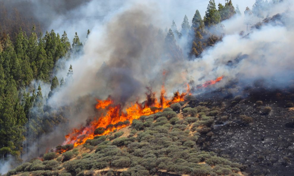 12082019.- Vista desde la Cruz de Tejeda en la mañana de este lunes en la zona arrasada por el incendio que afecta a los municipios de Tejeda, Artenara y Gáldar en Gran Canaria. EFE Elvira Urquijo A.