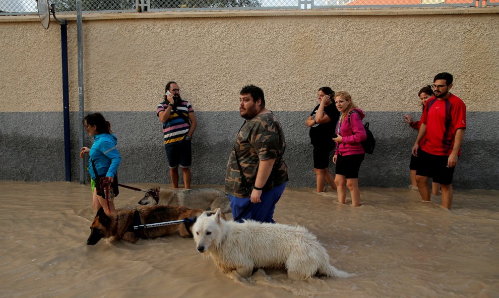 Varios vecinos caminan con sus mascotas por una calle inundada por la gota fría en Orihuela, Alicante.-  REUTERS / JON NAZCA