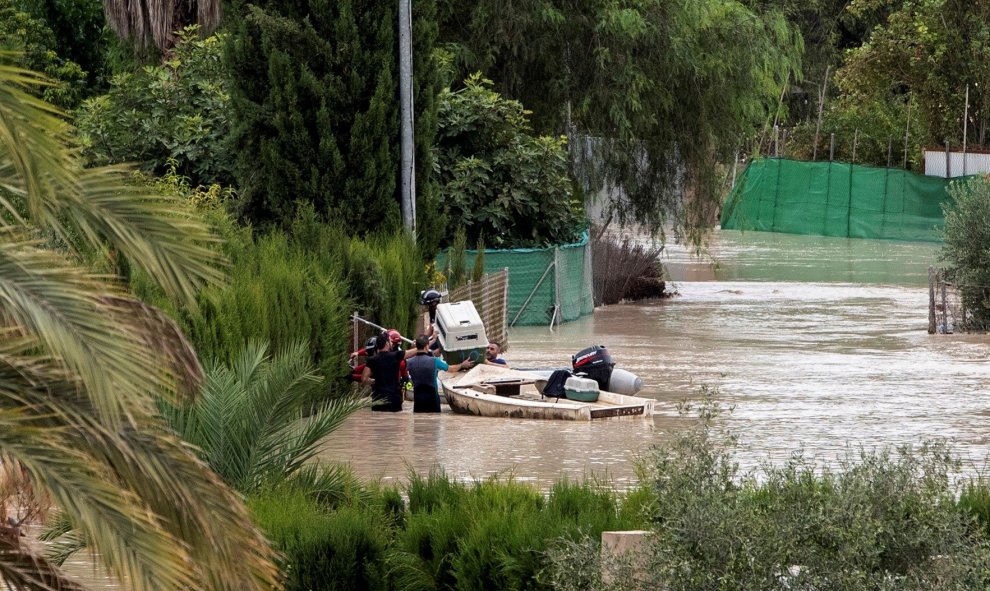 Bomberos y vecinos rescatan animales de las casas afectadas por el desbordamiento del rio Segura en Torre Alta, Molina de Segura, . EFE/Marcial Guillén