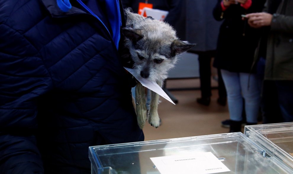 Algunos electores han acudido a la cita electoral con sus mascotas. / Reuters