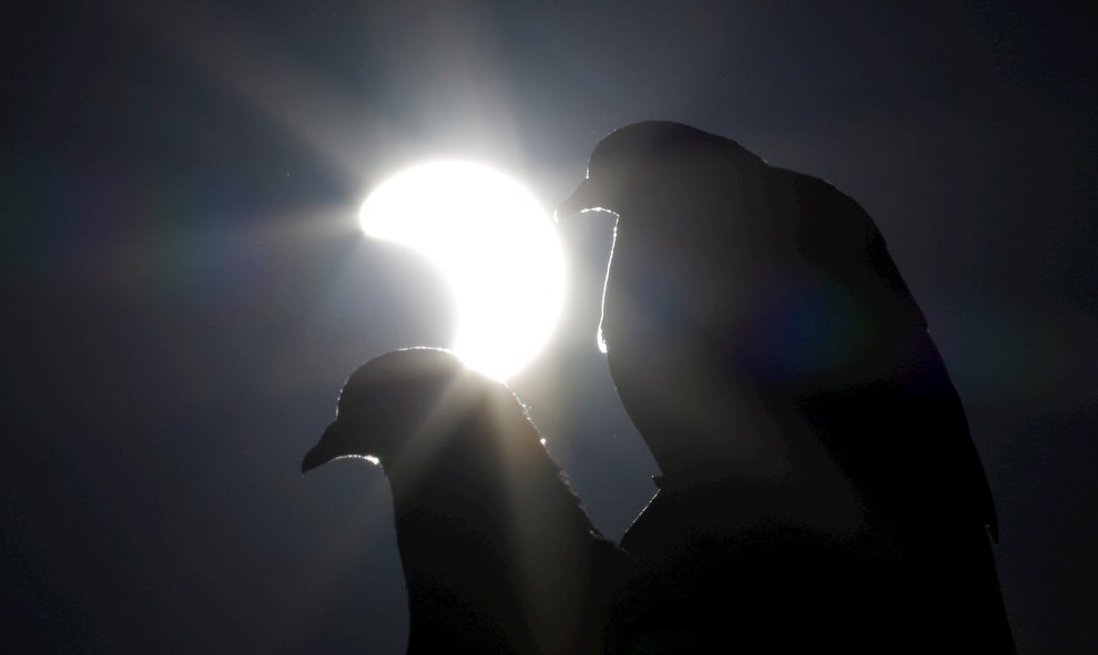 26/12/2019.- El eclipse solar parcial es visible desde Phnom Penh, Camboya. EFE / EPA / KITH SEREY