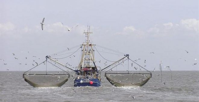 El 30 por ciento de la pesca mundial no se declara oficialmente