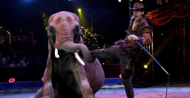Un elefante en el Festival Internacional de Circo de Monte-Carlo celebrado en Mónaco. -EFE