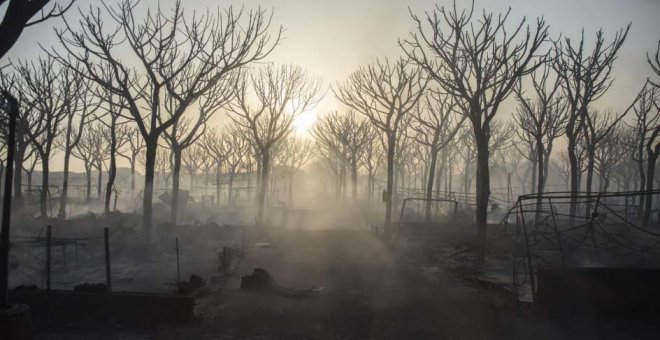 Incendio forestal de Moguer /EUROPA PRESS