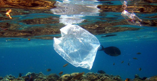Fotografía de archivo de una bolsa de plástico en el mar | EFE