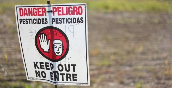 Pesticidas peligrosos.  AUSTIN VALLEY