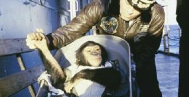 El chimpancé Ham, primer homínido en el espacio, al regreso de su vuelo en 1961. NASA