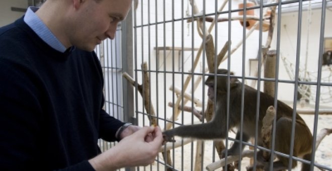 Andreas Kreiter alimenta a uno de los macacos de su laboratorio. AP