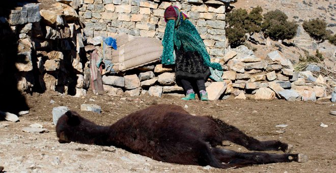 Una mujer llora junto al cuerpo de su burro, tras descubrir que éste ha muerto, en la región de Alto Atlas de Marruecos. /YOUSSEF BOUDLAL (REUTERS)