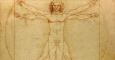 El famoso hombre de Vitruvio, dibujado por Leonardo da Vinci, es la imagen del canon de las proporciones de los humanos