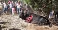 Fotografía de la Matanza de "Afligido" en el torneo del "Toro de la Vega"./ Jon Amad / Igualdad Animal