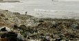 Un hombre recoge basura de entre los montones de plástico de una playa en el sur del Líbano, en la costa Mediterránea. AFP
