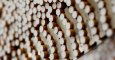 Cigarrillos durante el proceso de fabricación en una planta de British American Tobacco (BAT) en la localidad alemana de Bayreuth. REUTERS/Michaela Rehle