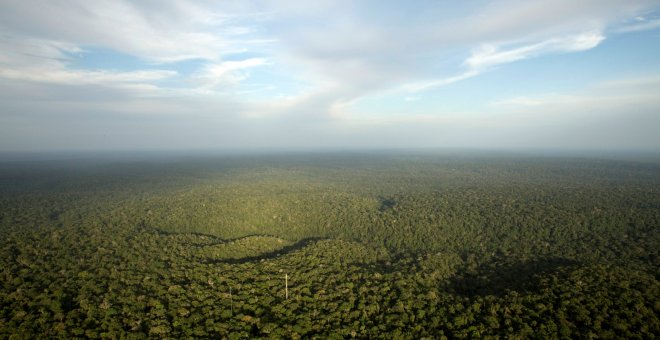 Selva amazónica en el estado de Amazonas. REUTERS / Bruno Kelly