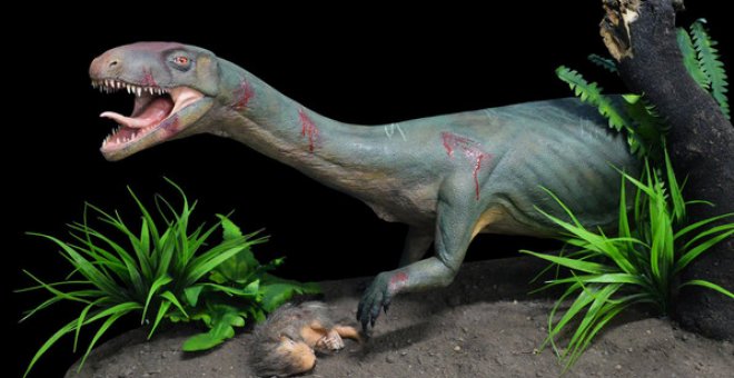 Modelo de la nueva especie Teleocrater rhadinus, un pariente cercano de los dinosaurios con una presa de cinodonte juvenil, un pariente lejano de los mamíferos./ Museo Argentino de Ciencias Naturales