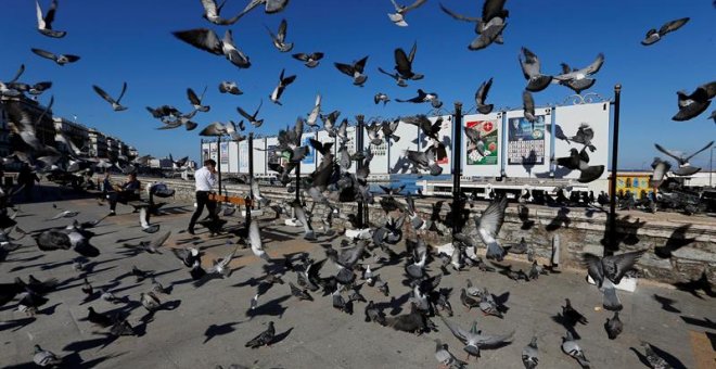 Palomas sobrevuelan cerca de los pósteres electorales en Argel, Argelia, hoy 12 de abril de 2017. Las elecciones parlamentarias se celebran el próximo 4 de mayo. EFE/Mohamed Messara