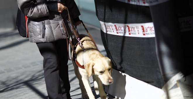 Persona ciega con perro guía /EUROPA PRESS