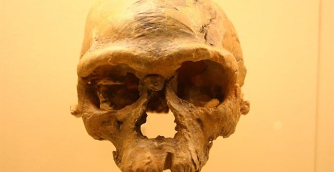 Científicos descubren los fósiles de los primeros 'Homo sapiens' en Marruecos. WIKIMEDIA/DAVID H. KOCH