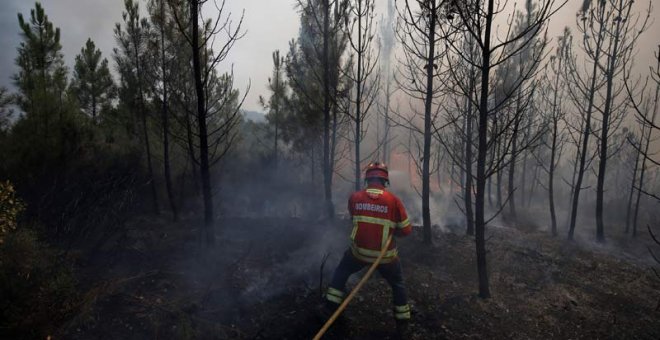 Un bomberoi intenta apagar las llamas en Carvalho, cerca de Gois. | RAFAEL MARCHANTE (EFE)