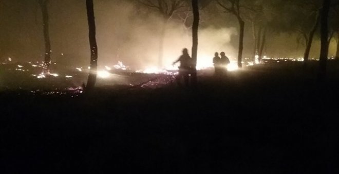 Desalojadas más de 300 personas por el incendio forestal de Moguer (Huelva).- EP