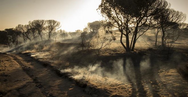 Paraje de Cuesta Maneli tras el incendio declarado el pasado sábado en el paraje "La Peñuela" de Moguer (Huelva) y que afecta al entorno del Espacio Natural de Doñana. /EFE