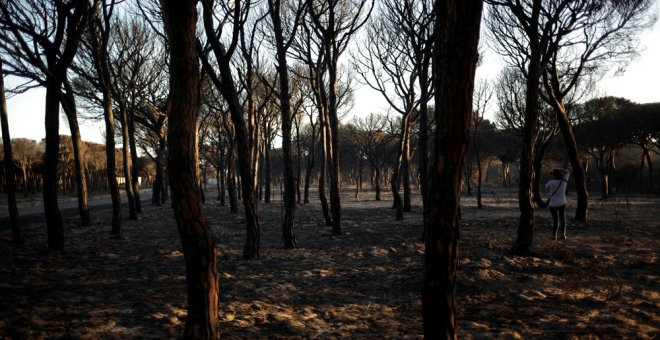 Un hombre toma fotos de la zona afectada por el fuego cerca de Doñana, en Matalascañas (Huelva). REUTERS/Jon Nazca