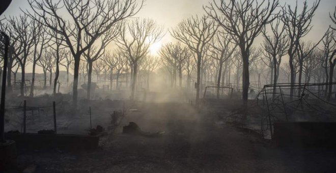 Incendio forestal de Moguer /EUROPA PRESS