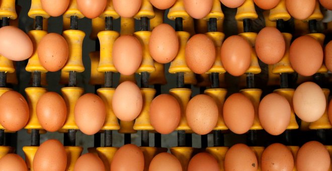 Sanidad asegura que España no está afectada por los huevos contaminados tras la retirada de una partida en el País Vasco. REUTERS