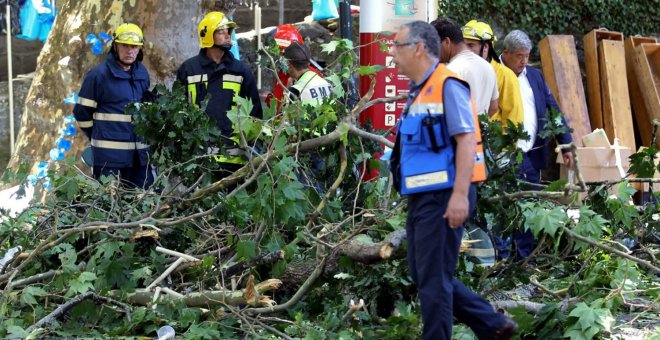 Los servicios de emergencias en el lugar donde el árbol cayó matando a varias personas, en Madeira. - EFE