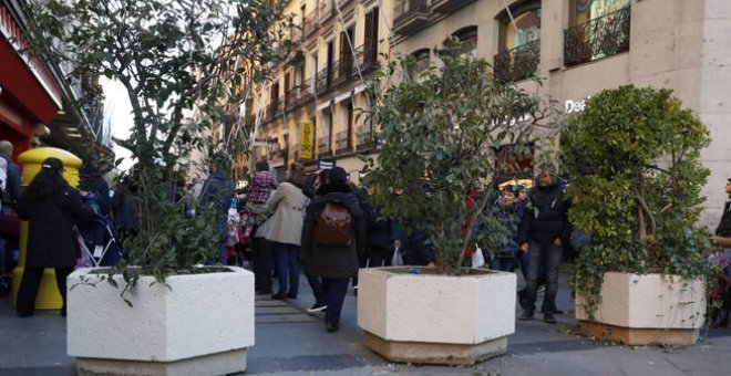 Grandes maceteros para la seguridad / EFE