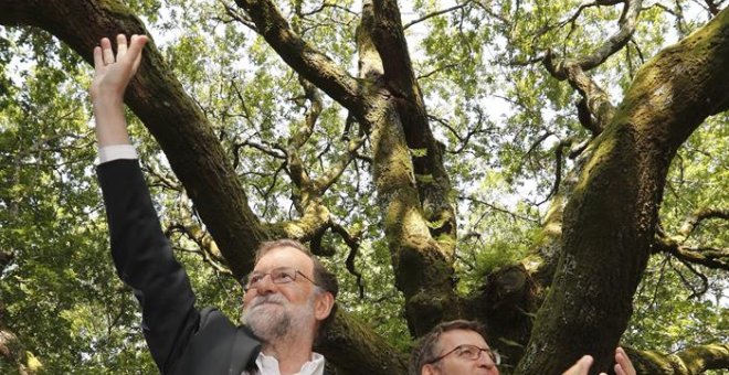 El presidente del Gobierno, Mariano Rajoy y el presidente de la Xunta, Alberto Núñez Feijóo, saludan al comienzo del acto de inicio del curso político  en la Carballeira de San Xusto, en la localidad pontevedresa de Cerdedo-Cotobade. EFE/Lavandeira jr