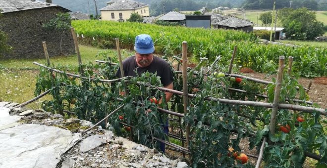 Agricultor en Miñagón