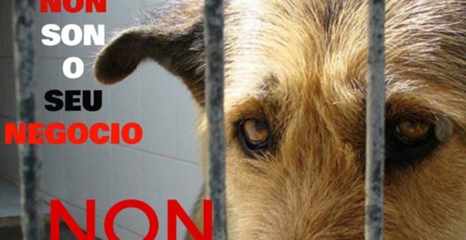 Parte del cartel contra la ley gallega de bienestar animal.