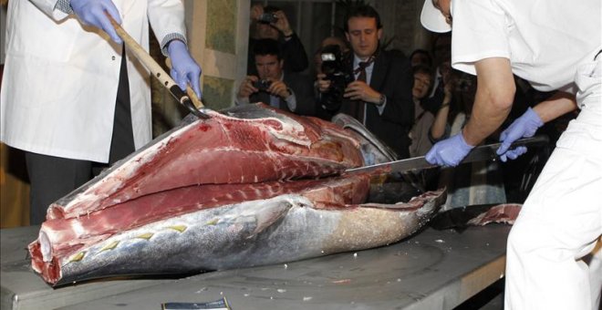 Bruselas exige a España medidas para detener un caso de fraude con atún adulterado. EFE/Archivo